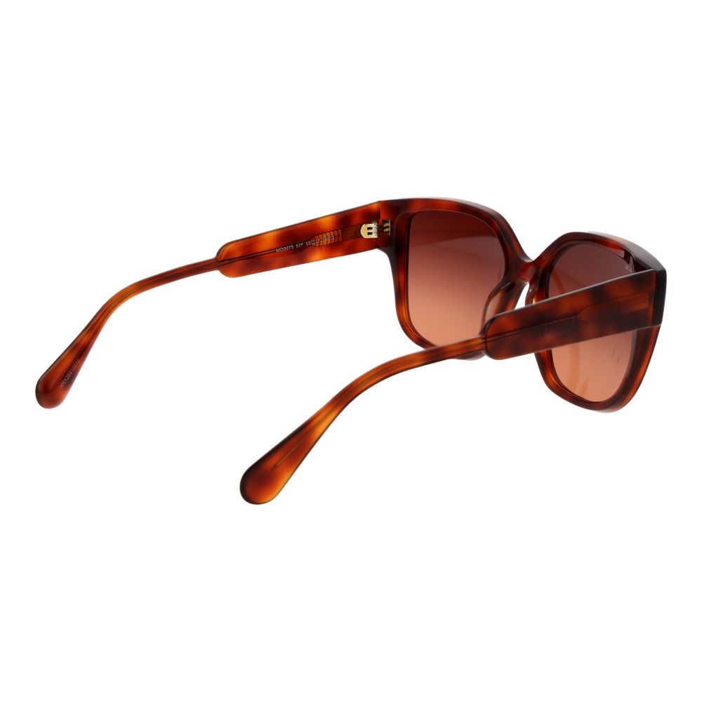 Brown Plastic Sunglasses