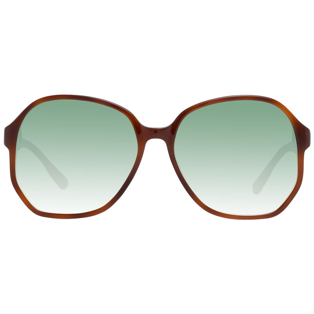 Brown Acetate Sunglasses