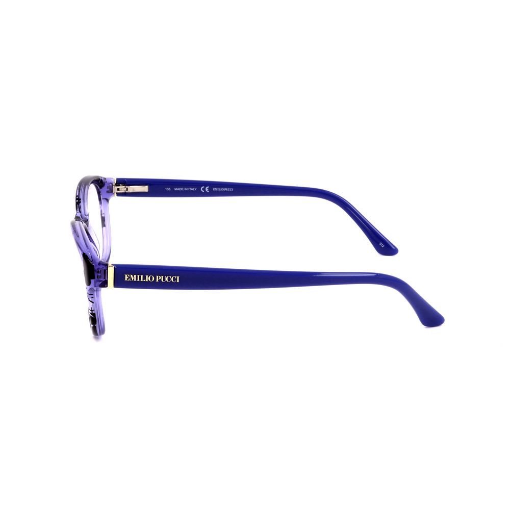 Blue Plastic Glasses (Frames)
