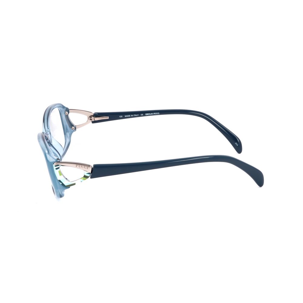 Blue Plastic Glasses (Frames)