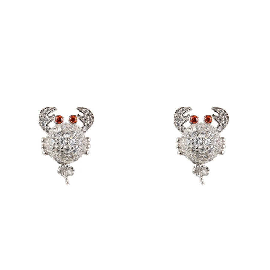 White Silver Earrings