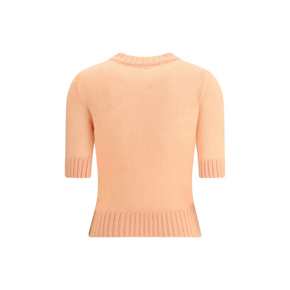 Orange Alpaca Vicugna Pacos Sweatshirt