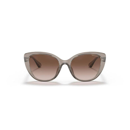 Brown Injected Sunglasses