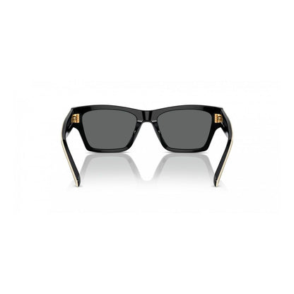 Black Acetate Sunglasses