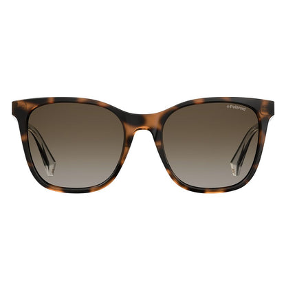 Brown Plastic Sunglasses