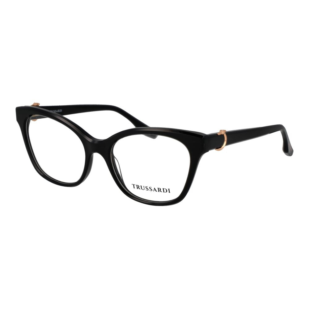 Black Acetate Glasses (Frames)