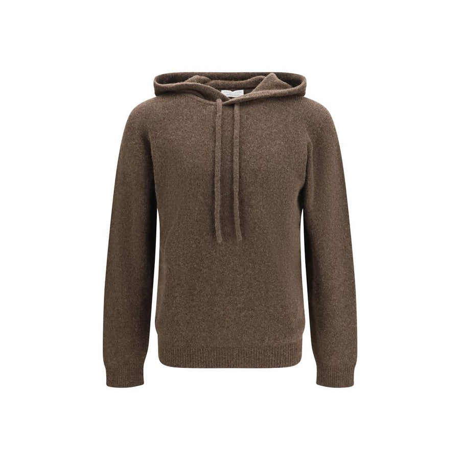 Brown Wool Oves Aries Hoodie