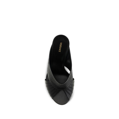 Black Lamb Ovis Aries Mules