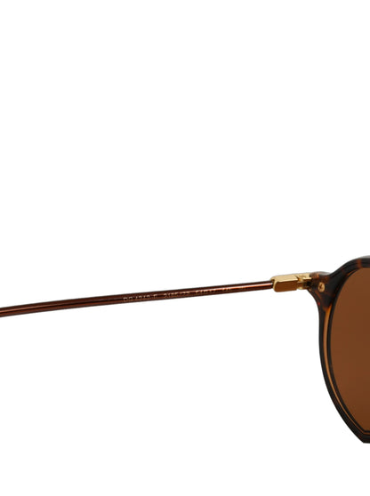 Brown DG4343F Havana Tortoise Women Eyewear Sunglasses