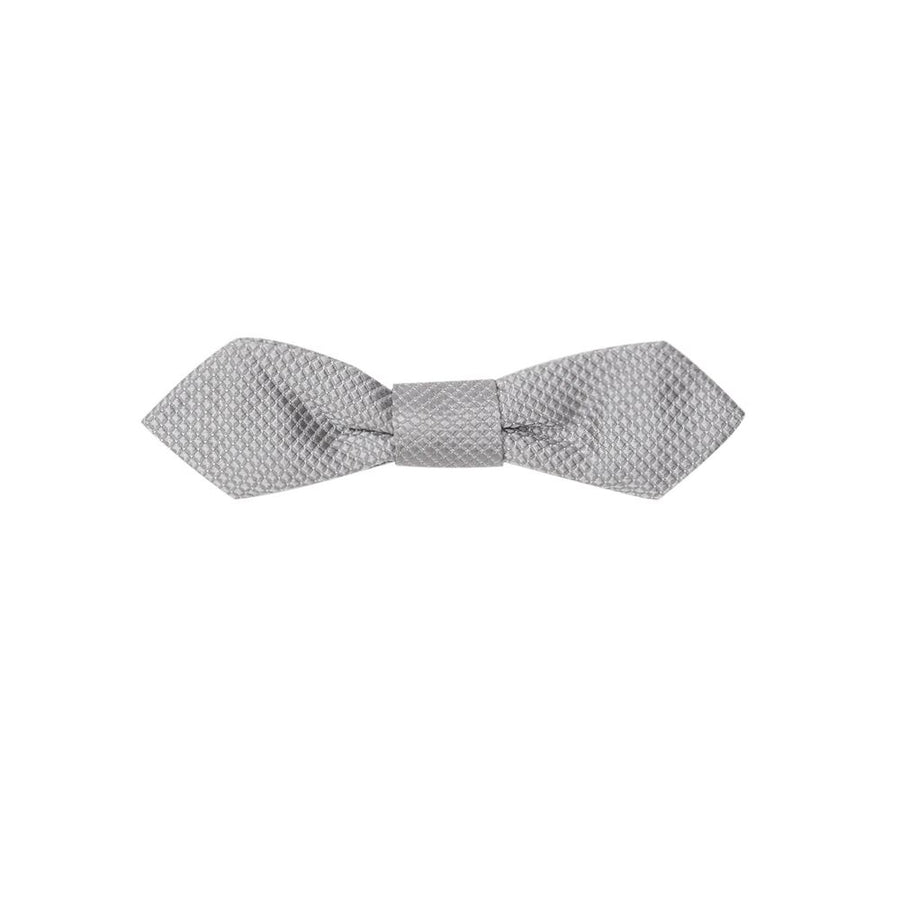Gray Silk Bowty