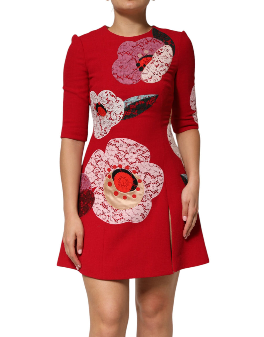 Red Lace Floral Applique A-line Mini Dress