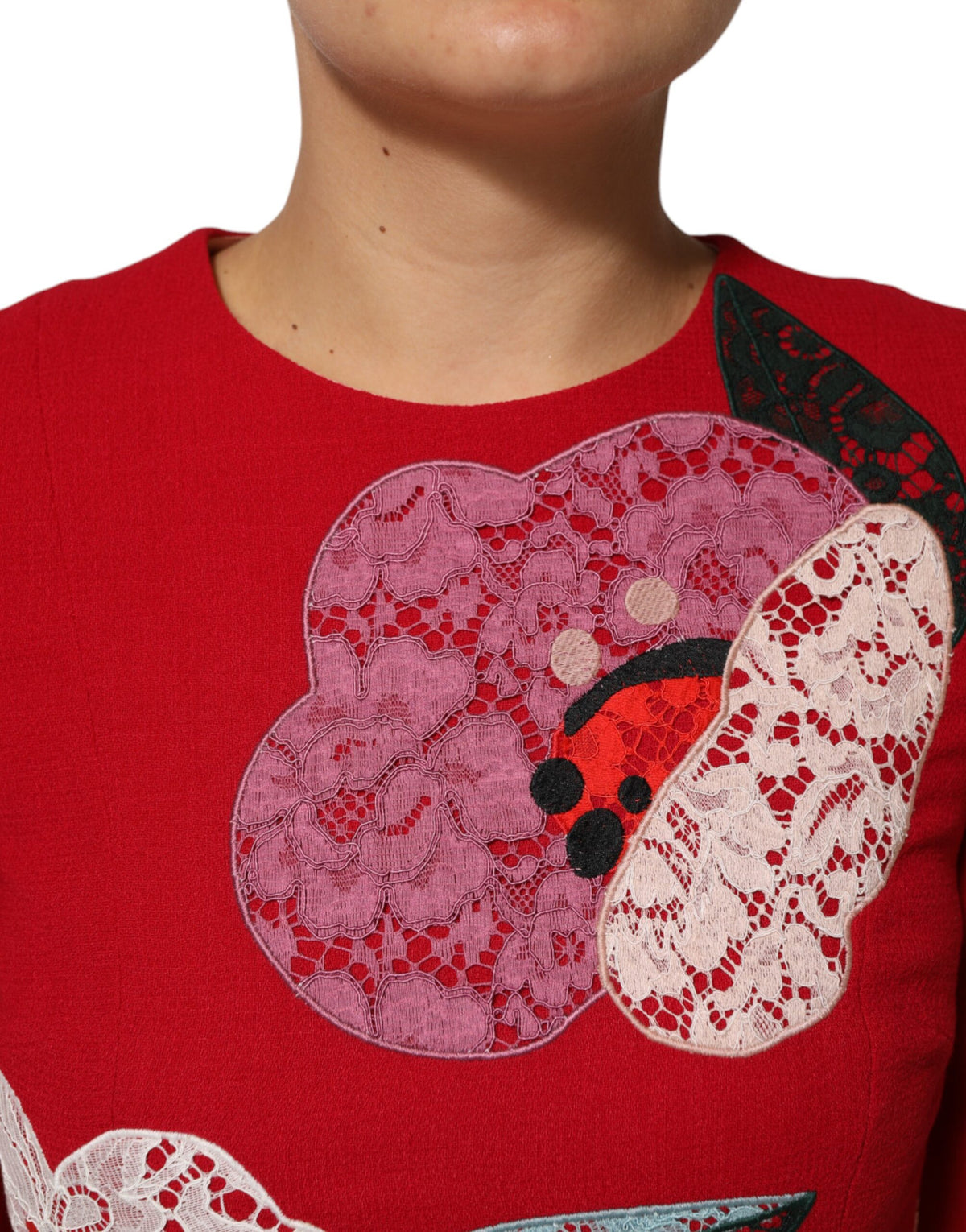 Red Lace Floral Applique A-line Mini Dress