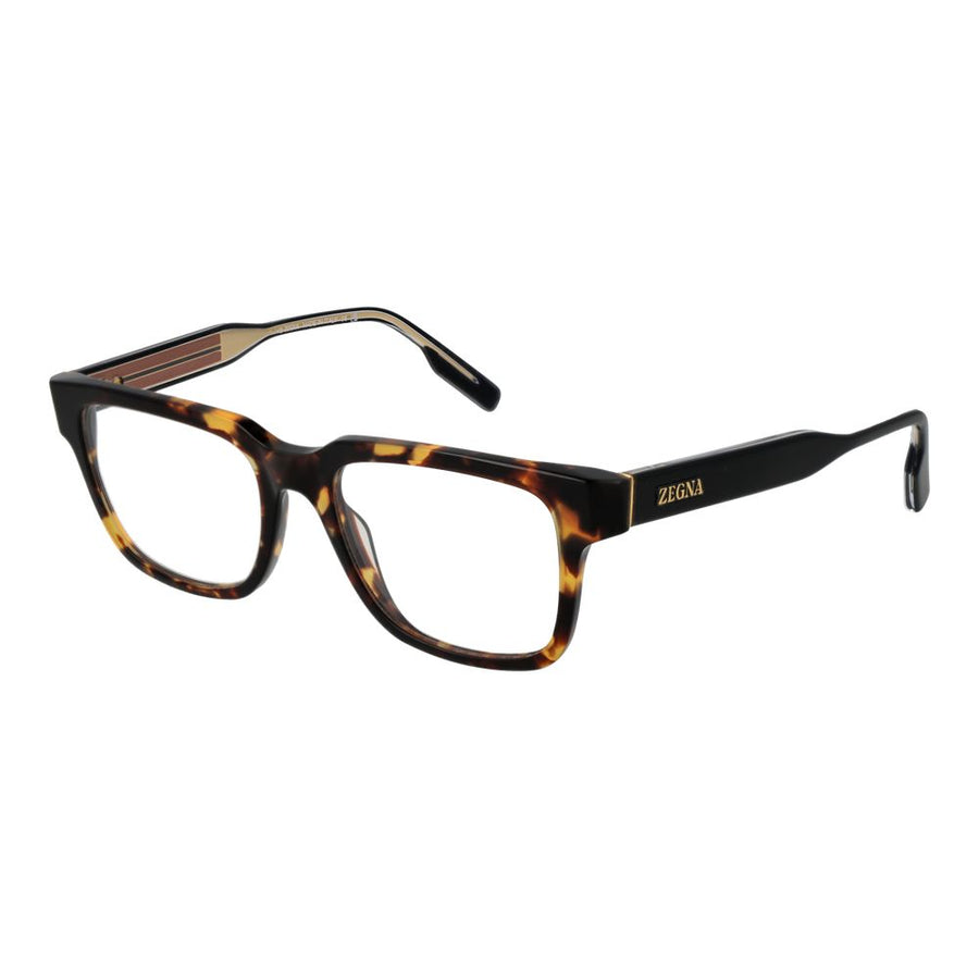 Brown Acetate Glasses (Frames)