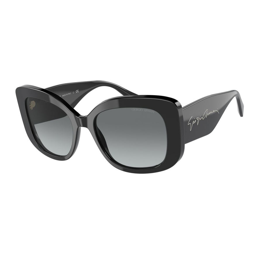 Black Acetate Sunglasses