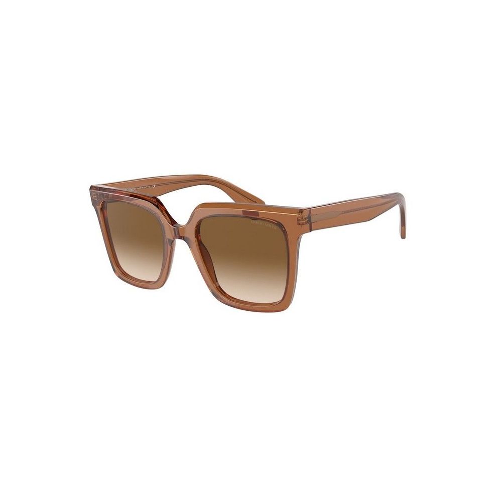 Brown Acetate Sunglasses