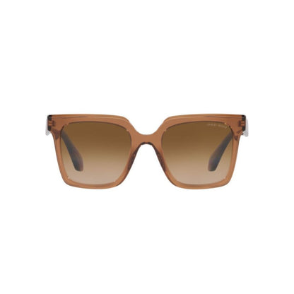 Brown Acetate Sunglasses