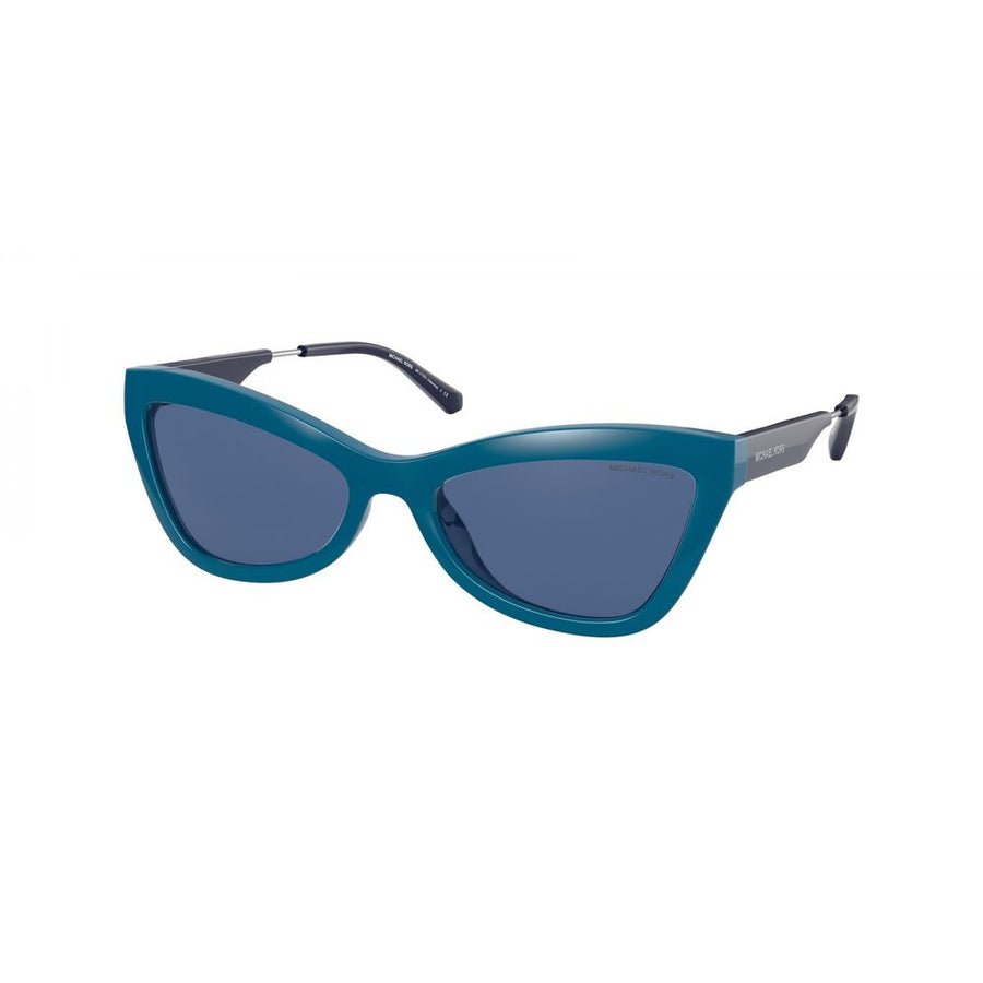 Blue Resin Sunglasses